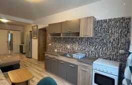 Apartament 2 camere, 40 mp, zona Stejarului 