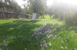 Vânzare Casă în Săcele - Locuință cu Teren Generos cu Potențial -de Renovat