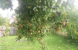 Vânzare Casă în Săcele - Locuință cu Teren Generos cu Potențial -de Renovat
