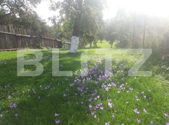 Casa de vânzare 3 camere Sacele - 166524CV | BLITZ Brașov | Poza16