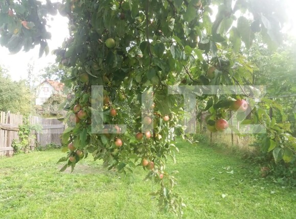 Casa de vânzare 3 camere Sacele - 166524CV | BLITZ Brașov | Poza14