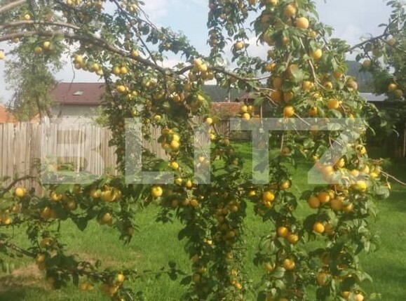 Casa de vânzare 3 camere Sacele - 166524CV | BLITZ Brașov | Poza19