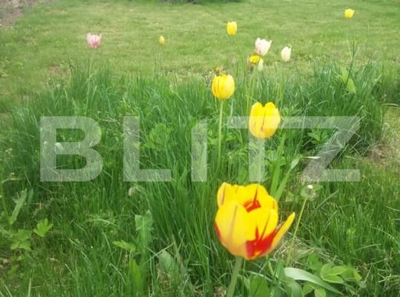 Casa de vânzare 3 camere Sacele - 166524CV | BLITZ Brașov | Poza17