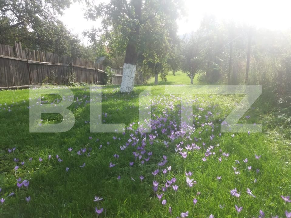 Casa de vânzare 3 camere Sacele - 166524CV | BLITZ Brașov | Poza16