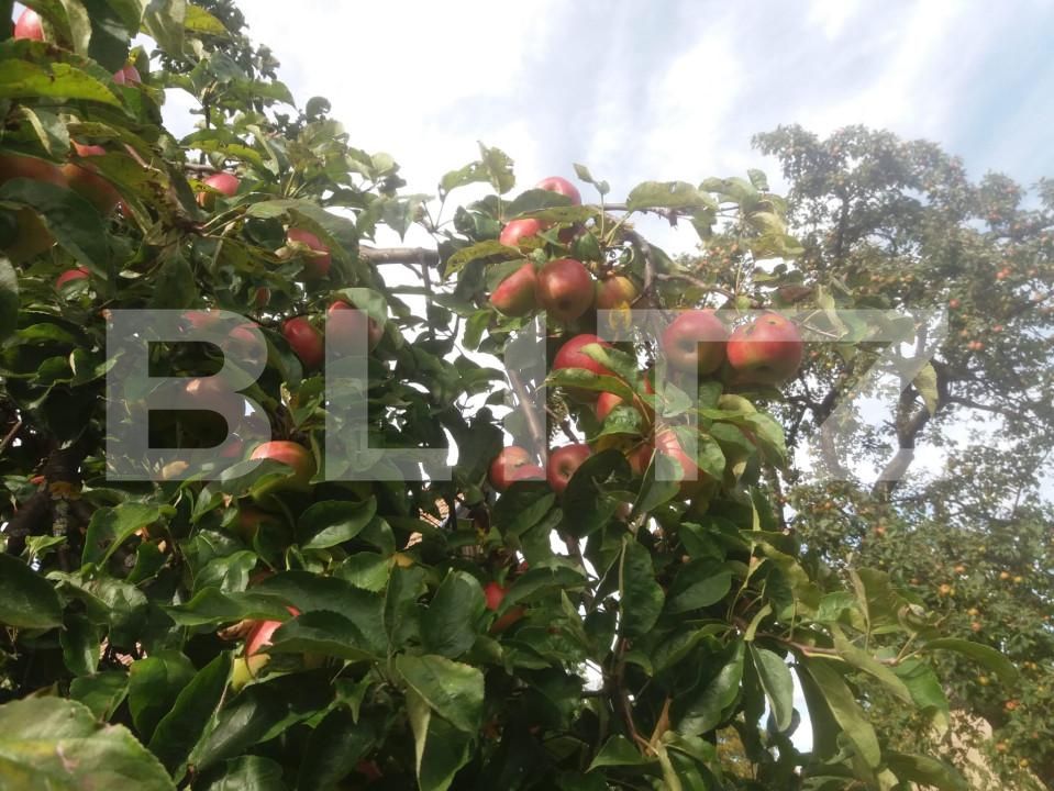 Casa de vânzare 3 camere Sacele - 166524CV | BLITZ Brașov | Poza18