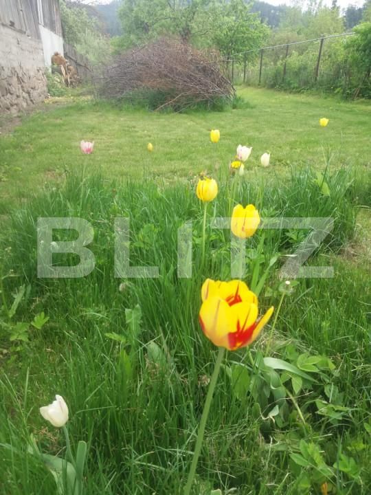 Casa de vânzare 3 camere Sacele - 166524CV | BLITZ Brașov | Poza17