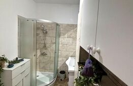 Apartament cu 2 camere, zona Cetatii