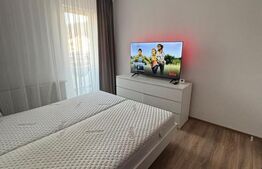 Apartament cu 2 camere, zona Cetatii