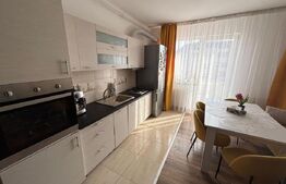 Apartament cu 2 camere, zona Cetatii