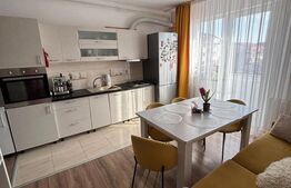 Apartament cu 2 camere, zona Cetatii