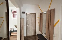 Apartament cu 2 camere, zona Cetatii