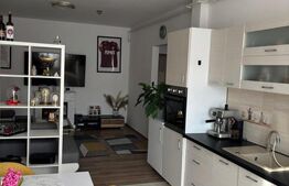 Apartament cu 2 camere, zona Cetatii