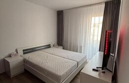 Apartament cu 2 camere, zona Cetatii