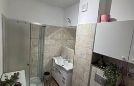 Apartament cu 2 camere, zona Cetatii