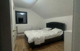 Cabana spectaculoasa, 6 camere, totul nou, padure, Rasca !