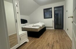 Cabana spectaculoasa, 6 camere, totul nou, padure, Rasca !