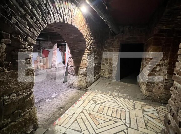 Spațiu comercial de vânzare Central - 166547SVC | BLITZ Cluj-Napoca | Poza1