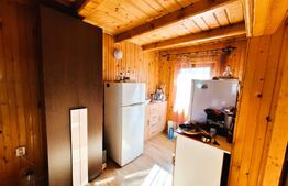 Casa de vacanta sau Resedinta, Zona Faget, 1600 mp teren