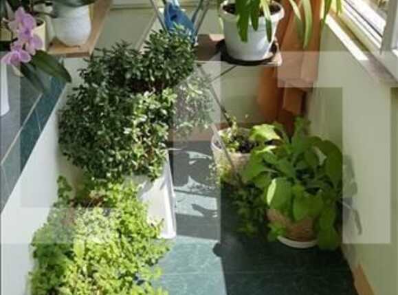 Apartament de vânzare 3 camere Marasti - 16656AV | BLITZ Cluj-Napoca | Poza10