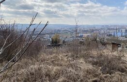 Teren intravilande vanzare, 1680 mp, front 47 ml, zona Auchan IRIS