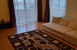 Apartament cu 2 dormitoare, terasa, parcare, curte privata, zona Somesului