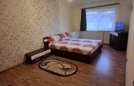Apartament cu 2 dormitoare, terasa, parcare, curte privata, zona Somesului