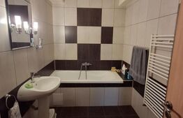 Apartament cu 2 dormitoare, terasa, parcare, curte privata, zona Somesului