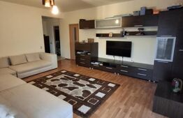 Apartament cu 2 dormitoare, terasa, parcare, curte privata, zona Somesului