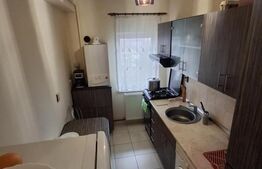 Apartament cu 2 dormitoare, terasa, parcare, curte privata, zona Somesului