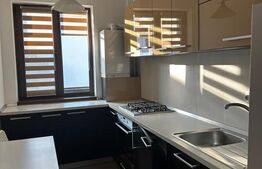 Apartament 2 camere zona Sub Cetate