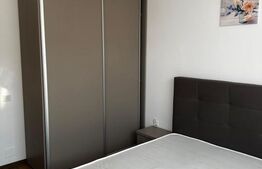 Apartament 2 camere zona Sub Cetate
