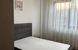 Apartament 2 camere zona Sub Cetate