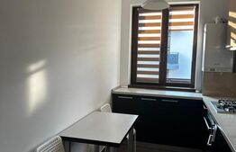 Apartament 2 camere zona Sub Cetate