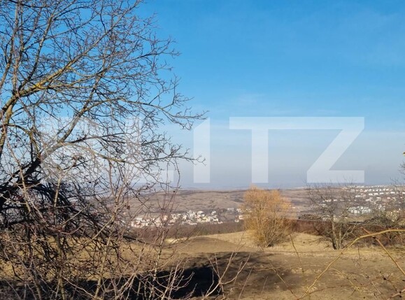 Teren de vânzare Becaş - 166778TV | BLITZ Cluj-Napoca | Poza4