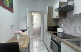 Apartament 1 camera la casă, 40 mp, parcare, zona Auchan Iris 