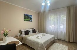 Garsonieră premium la casă, 25 mp, parcare, zona Auchan Iris 