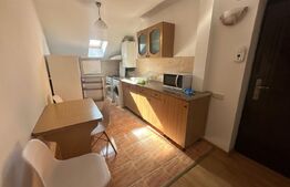 Garsonieră de închiriat Gheorgheni - 172958AI - Poza 6 din 6 | BLITZ Cluj-Napoca | Poza10