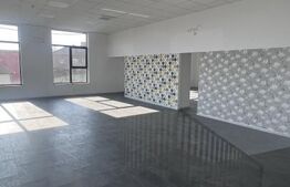 Spatiu cu vad auto excelent, 195 mp, vizibilitate maxima,