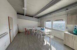 Hala cu acces facil, 2 incaperi, 2500 mp, zona Bulevardul Muncii