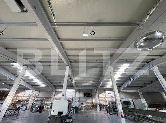 Spațiu industrial de închiriat Iris - 166820SII | BLITZ Cluj-Napoca | Poza14