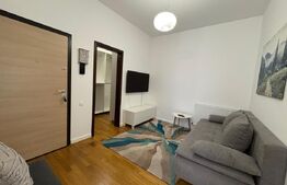 Apartament cu 2 camere, modern, pet friendly, Terra Gardens