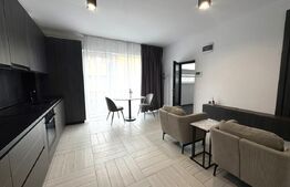 Apartament 2 camere, 40 mp, parcare, prima inchiriere, Terra