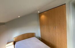 Apartament 3 camere, semidecomadat, pet friendly, AC, zona Marasti