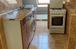 Apartament 3 camere, semidecomadat, pet friendly, AC, zona Marasti