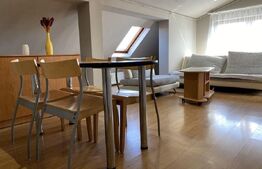 Apartament 3 camere, semidecomadat, pet friendly, AC, zona Marasti