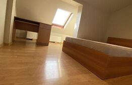 Apartament 3 camere, semidecomadat, pet friendly, AC, zona Marasti