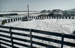 Casa Ta de Vis cu Teren Generos In Com Bod