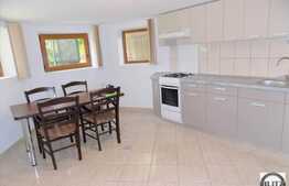 2 camere, 50 mp, imobil nou tip vila , demisol inalt, la prima inchiriere!