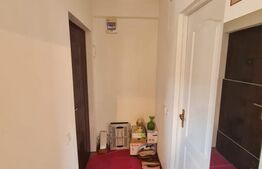 Apartament decomandat, inaltime echivalenta etajului 1, zona Stejarului