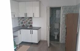 Casa de închiriat cu 2 camere, 90 mp, zona Marasti